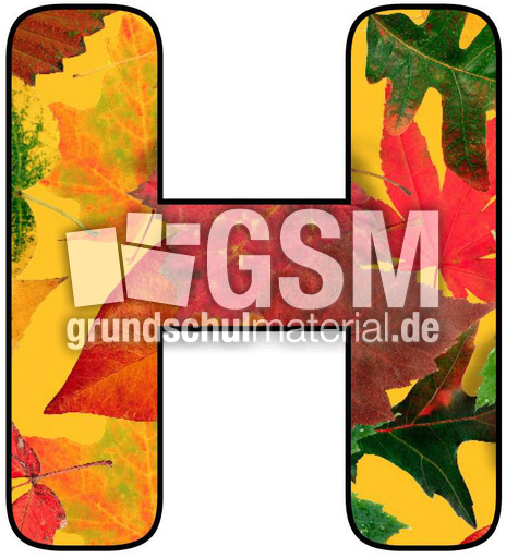 Herbstbuchstabe-5-H.jpg